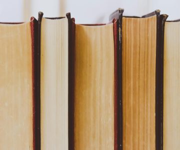 Profesor de Lengua y Literatura